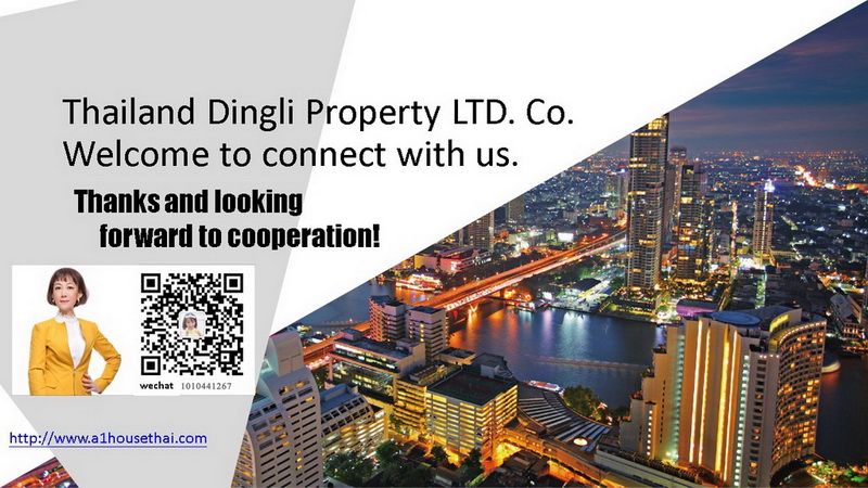 Dingli Property Co., Ltd.